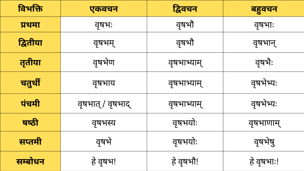 Vrishabh Shabd Roop in Sanskrit 