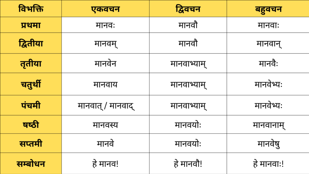 Manav Shabd Roop in Sanskrit