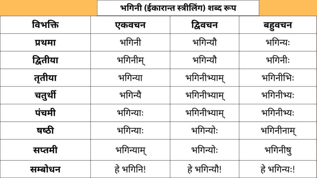 Bhagini Shabd Roop in Sanskrit