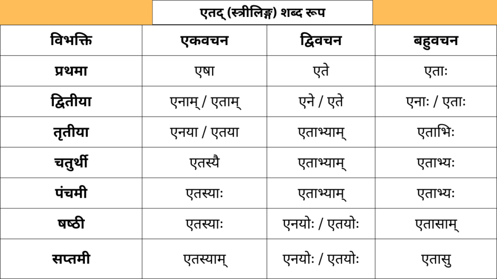 etat Striling Shabd Roop in Sanskrit