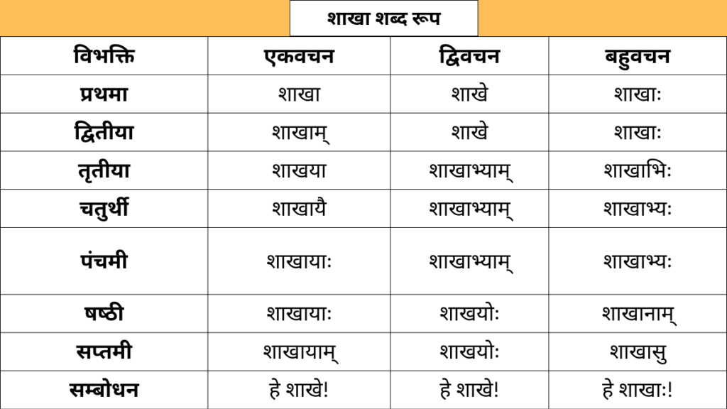 Shakha Shabd Roop in Sanskrit