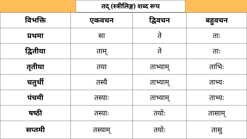 Tad Striling Shabd Roop in Sanskrit