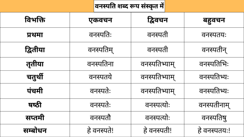 Vanaspati Shabd Roop in Sanskrit