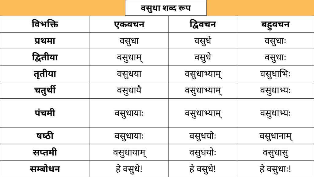 Vasudha Shabd Roop in sanskrit