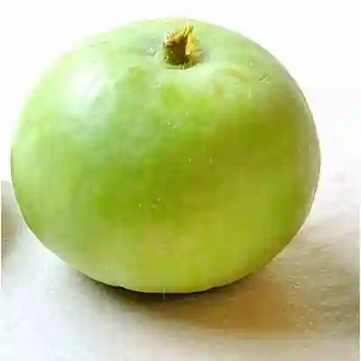 Apple gourd 1