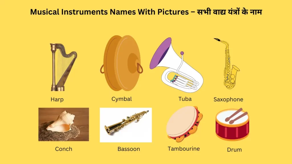 Musical Instruments Names With Pictures
