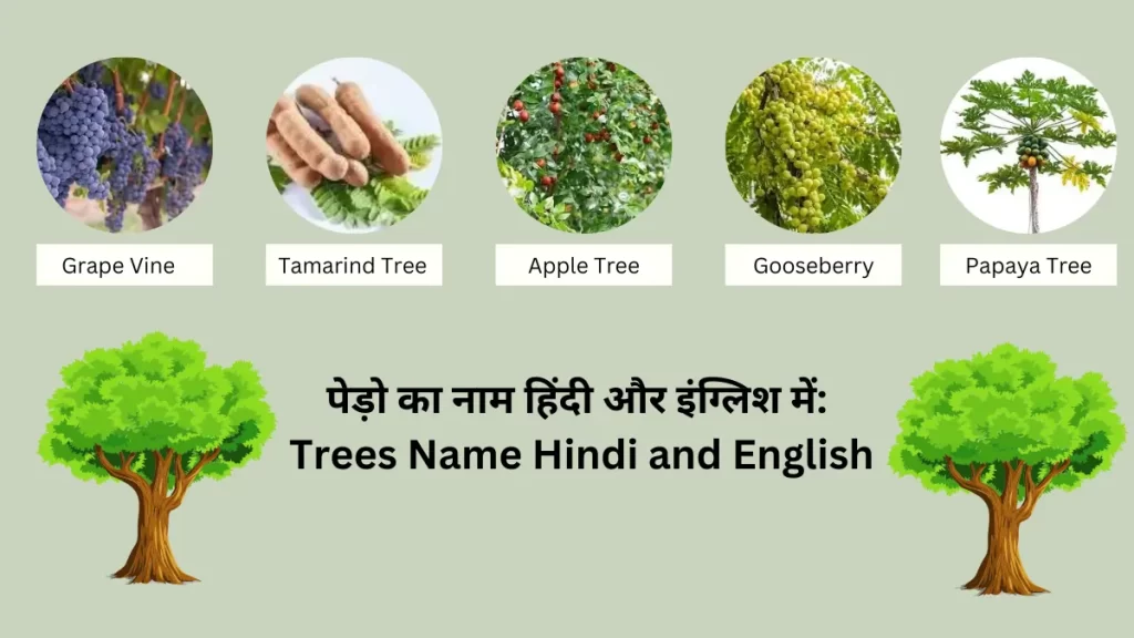 Trees Name Hindi and English