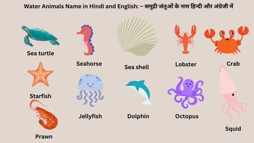 Water Animals Name
