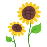 sunflower min 1
