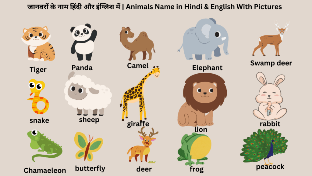 animals Name in Hindi & English With Pictures