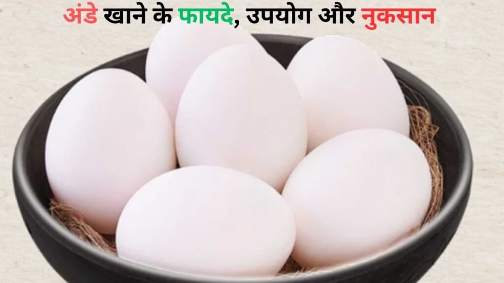 Benefits, Uses and Disadvantages of Eating Eggs