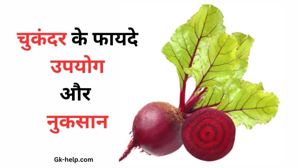Benefits, Uses and Harm of Beetroot